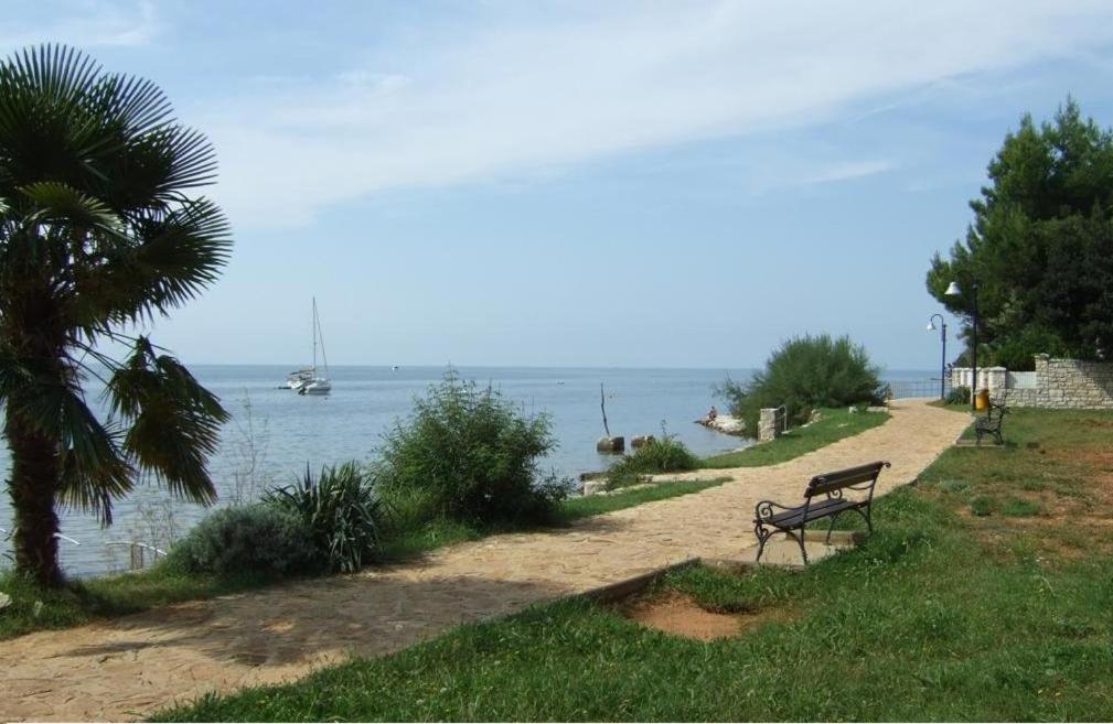 Apartment Angelina 70M From The Beach, Free Parking Novigrad  Exterior photo