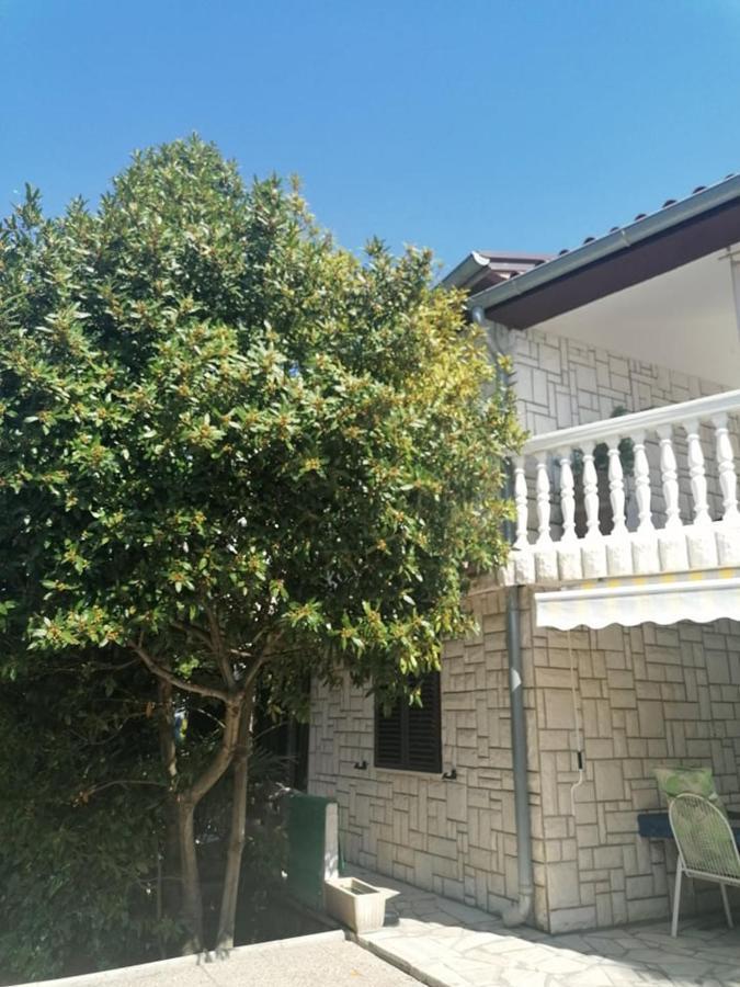 Apartment Angelina 70M From The Beach, Free Parking Novigrad  Exterior photo
